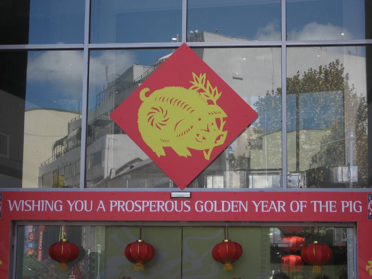 the year of the pig the year of the pig