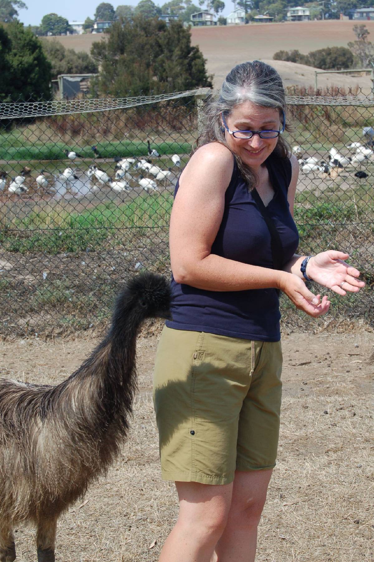 attack of the emu attack of the emu
