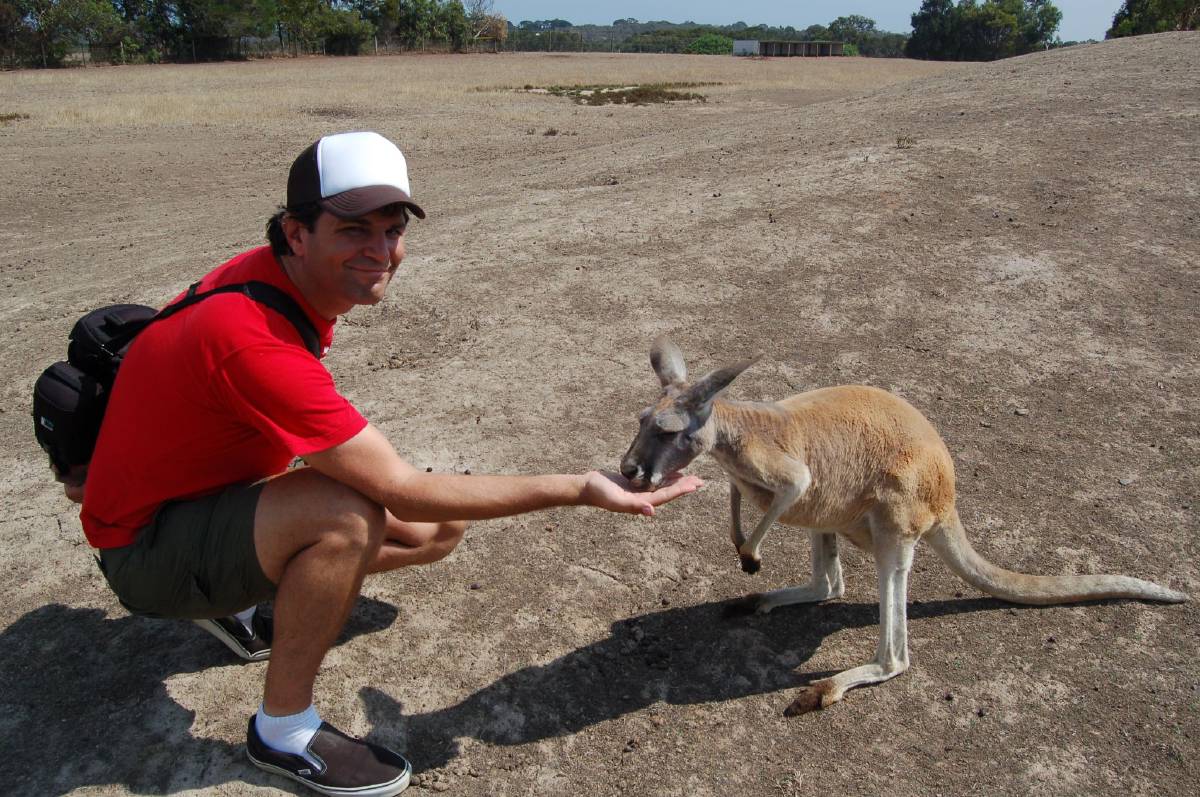 dave feeding the kangaroo dave feeding the kangaroo