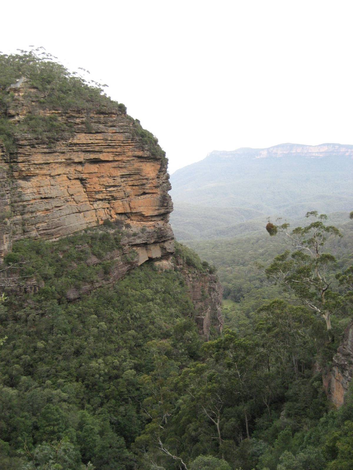 blue mountains blue mountains