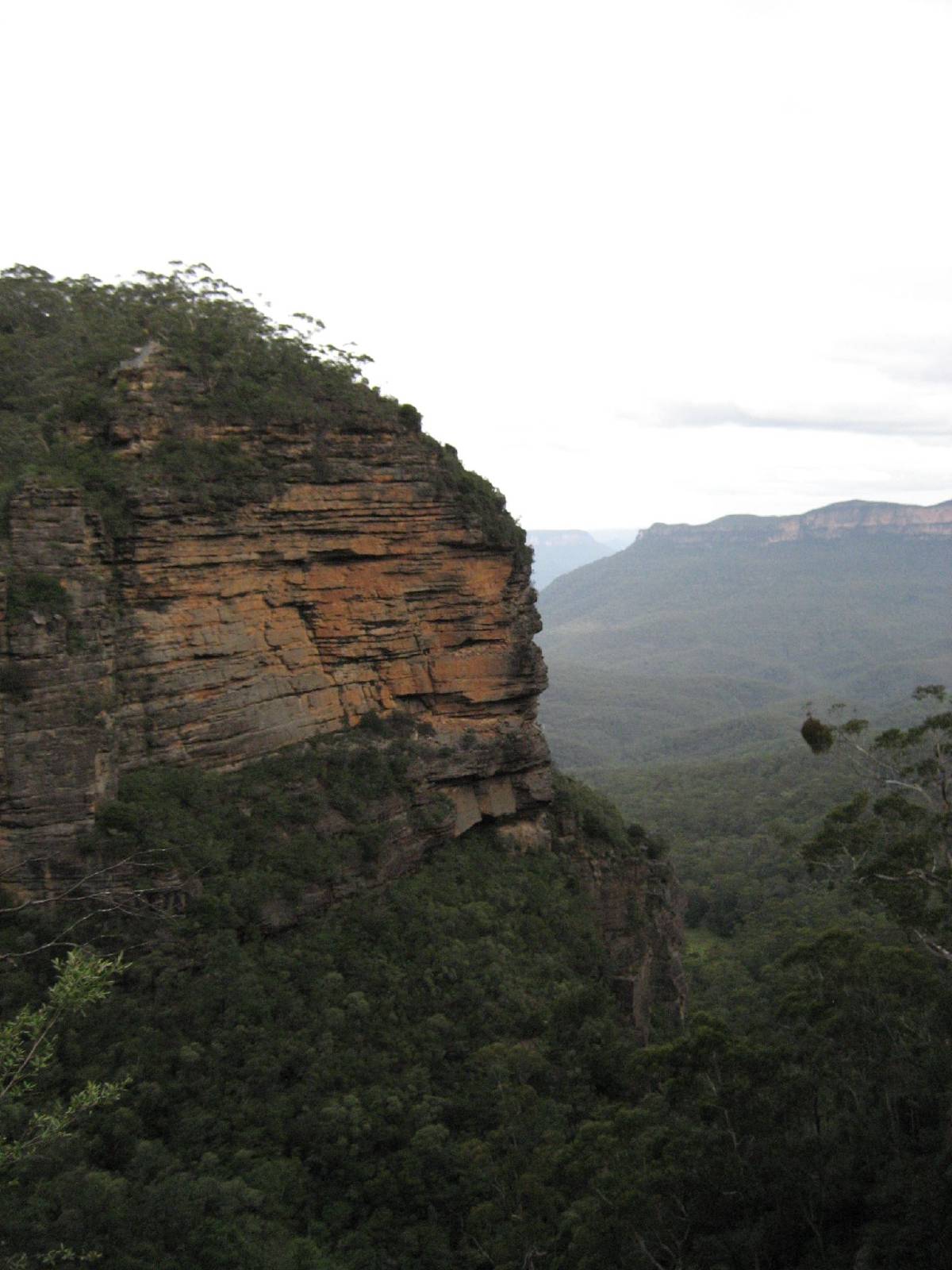 blue mountains blue mountains