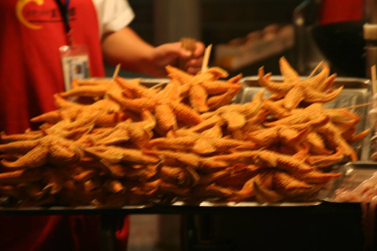 fried sea stars on a stick fried sea stars on a stick