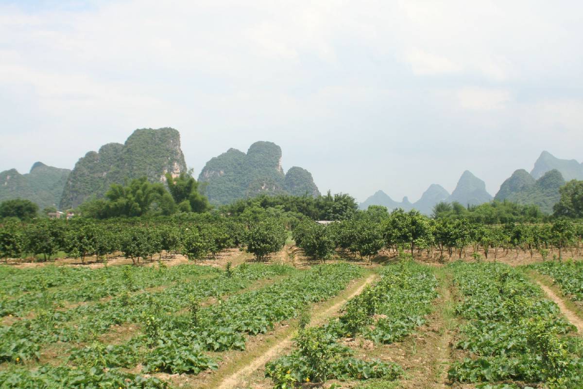 yangshou countryside yangshou countryside