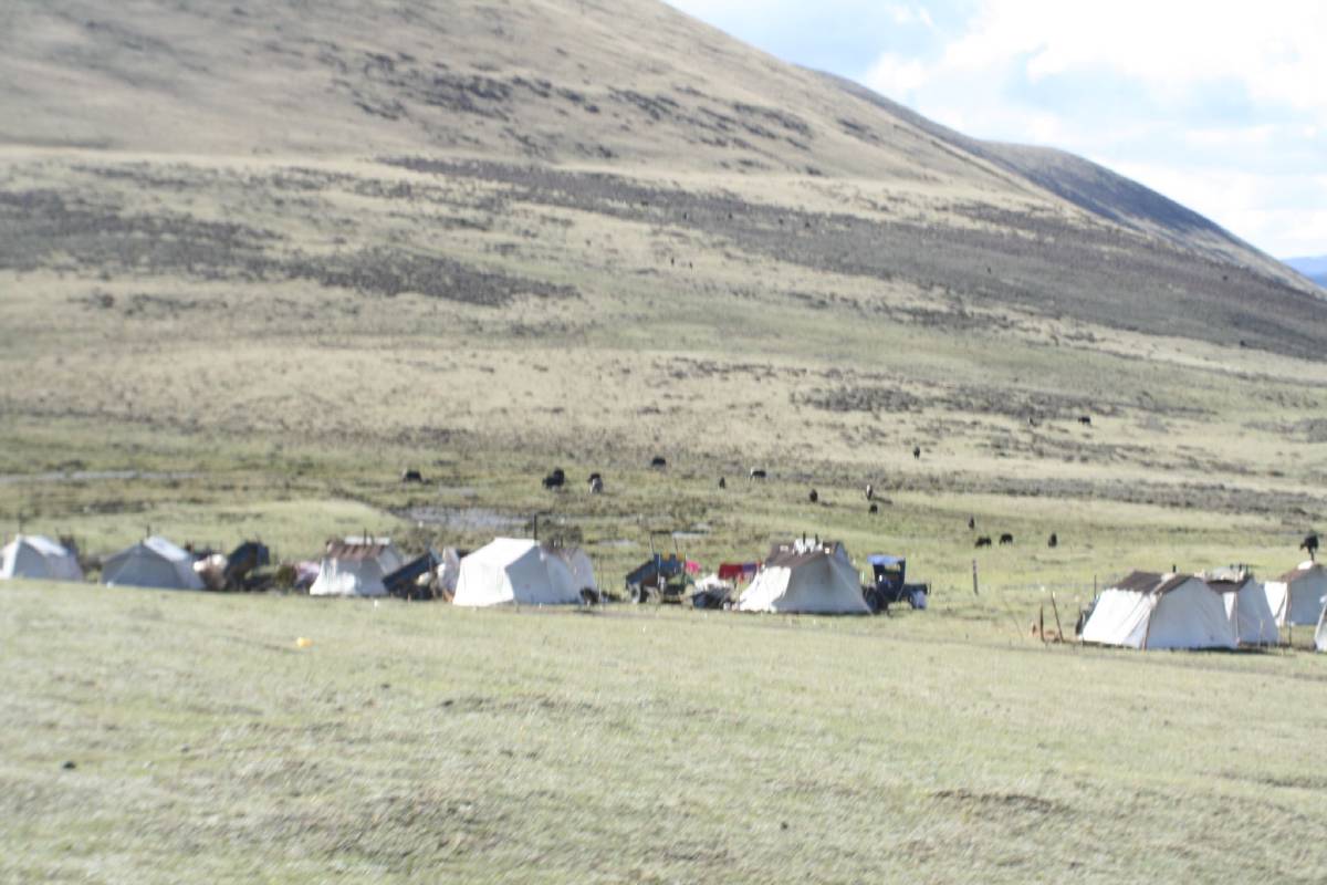 nomad camp nomad camp