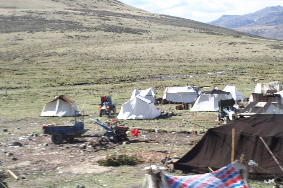 nomad camp nomad camp