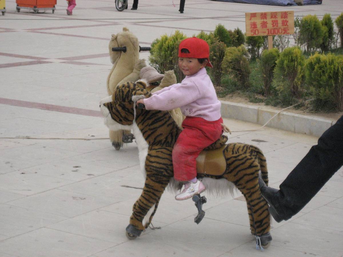 weird park rides weird park rides