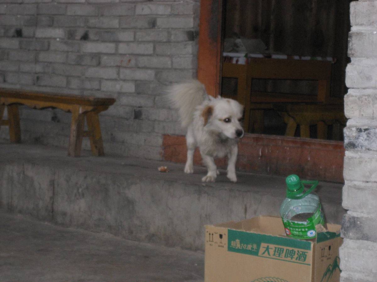 where my food where my food