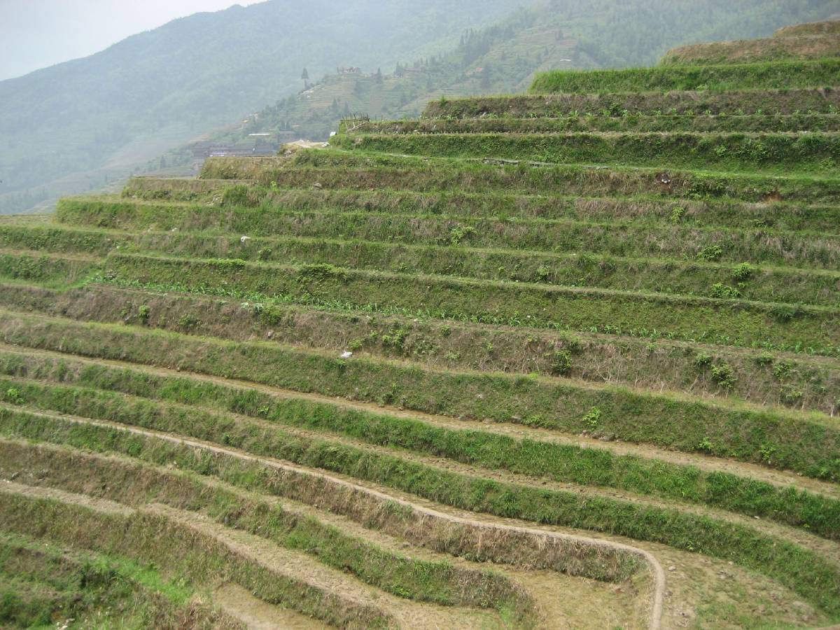 longji rice terraces longji rice terraces