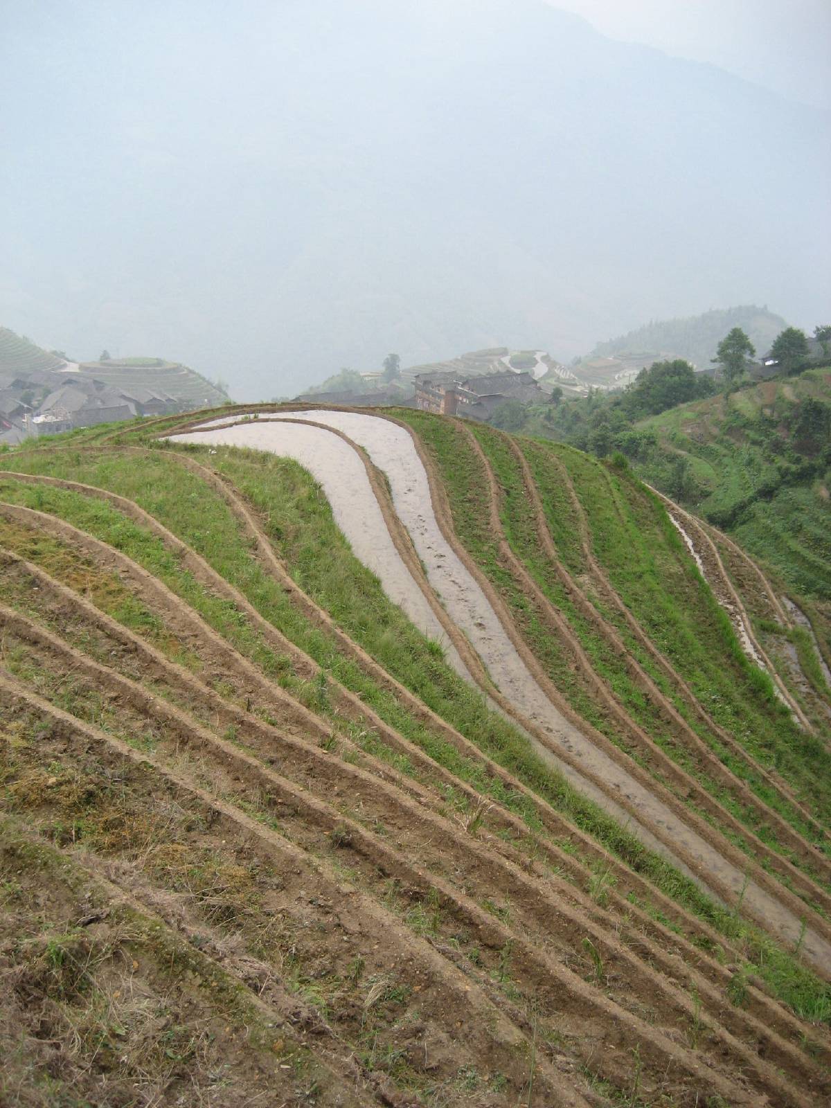 longji rice terraces longji rice terraces