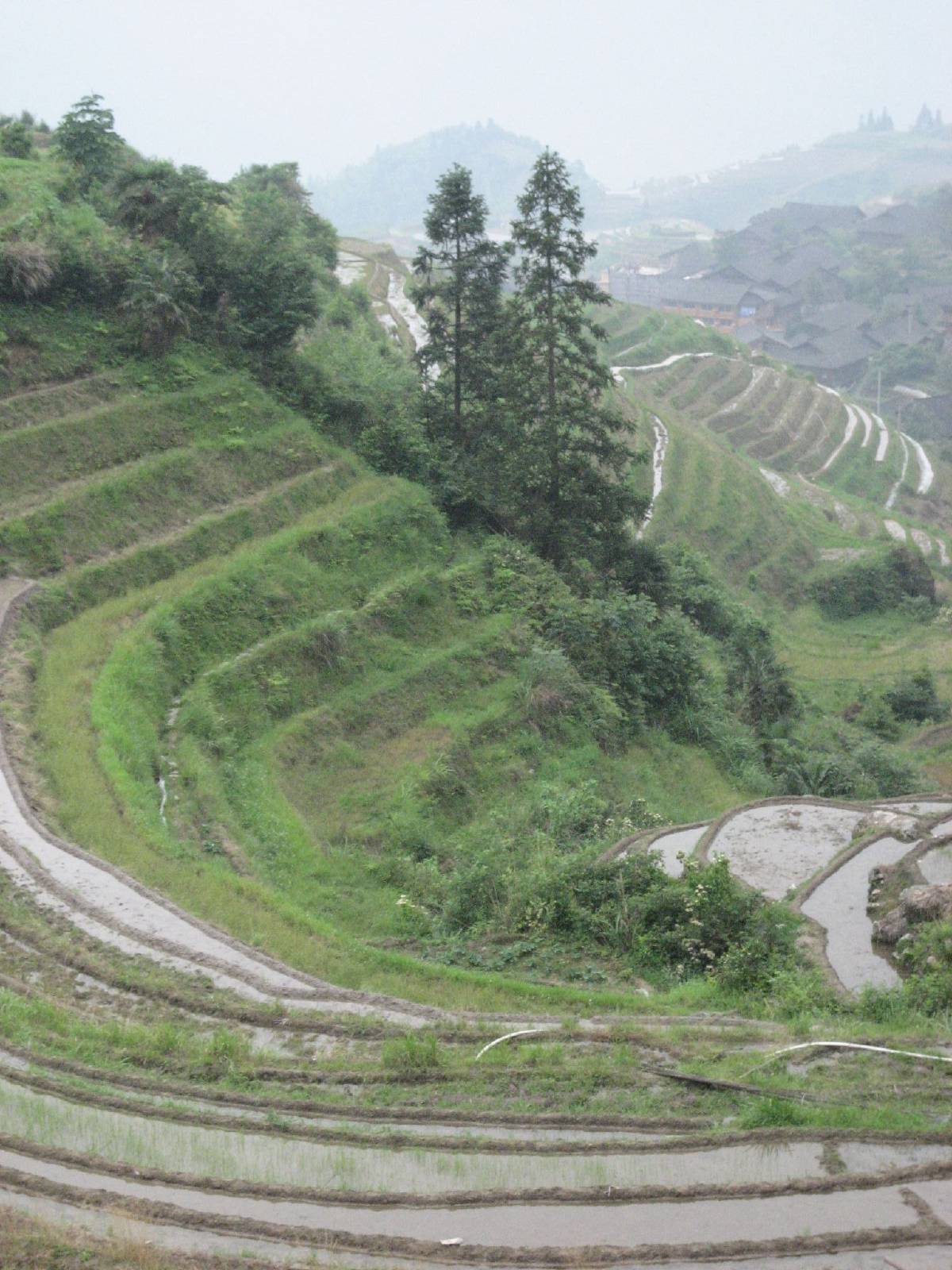 longji rice terraces longji rice terraces