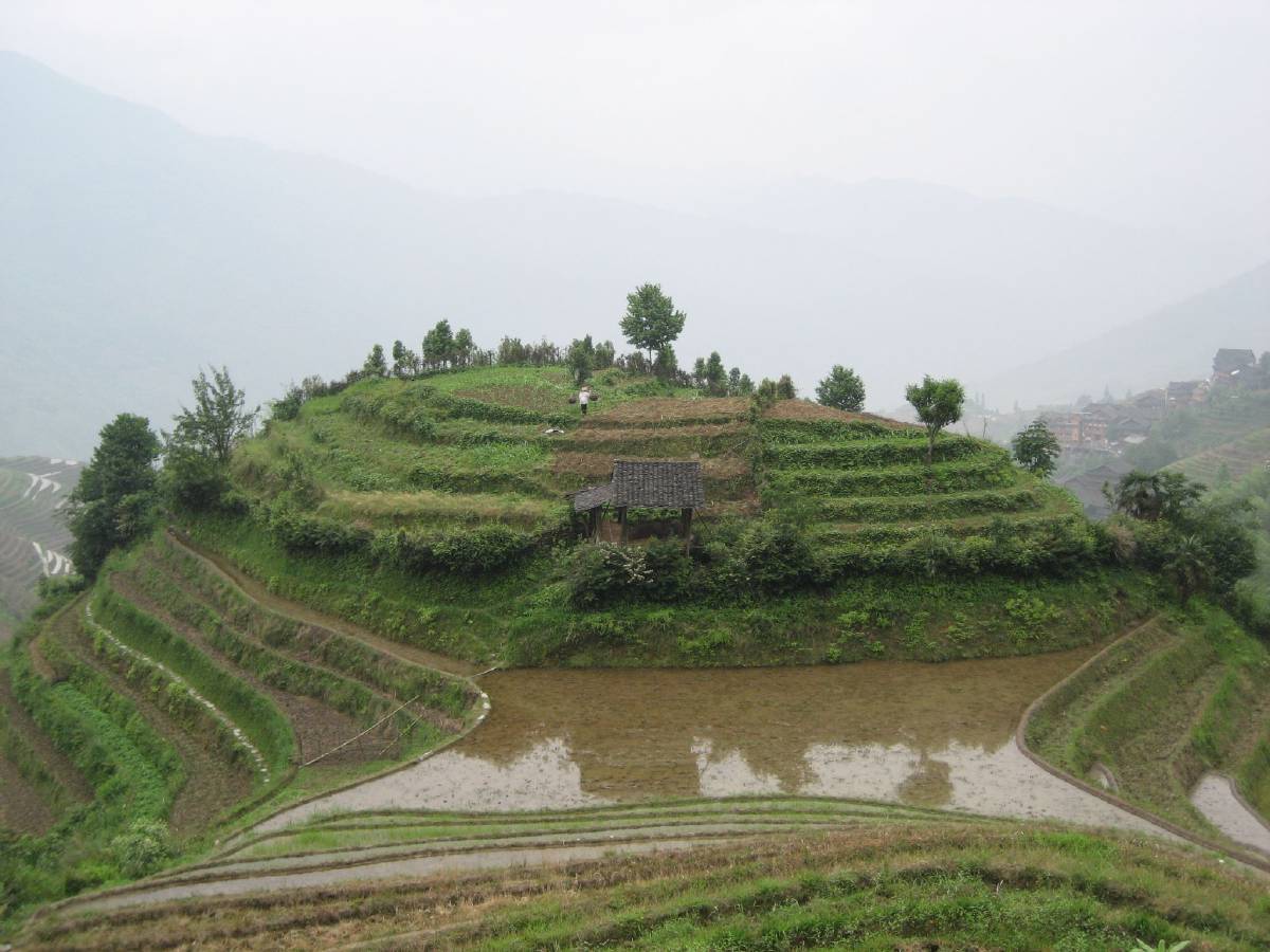 longji rice terraces longji rice terraces
