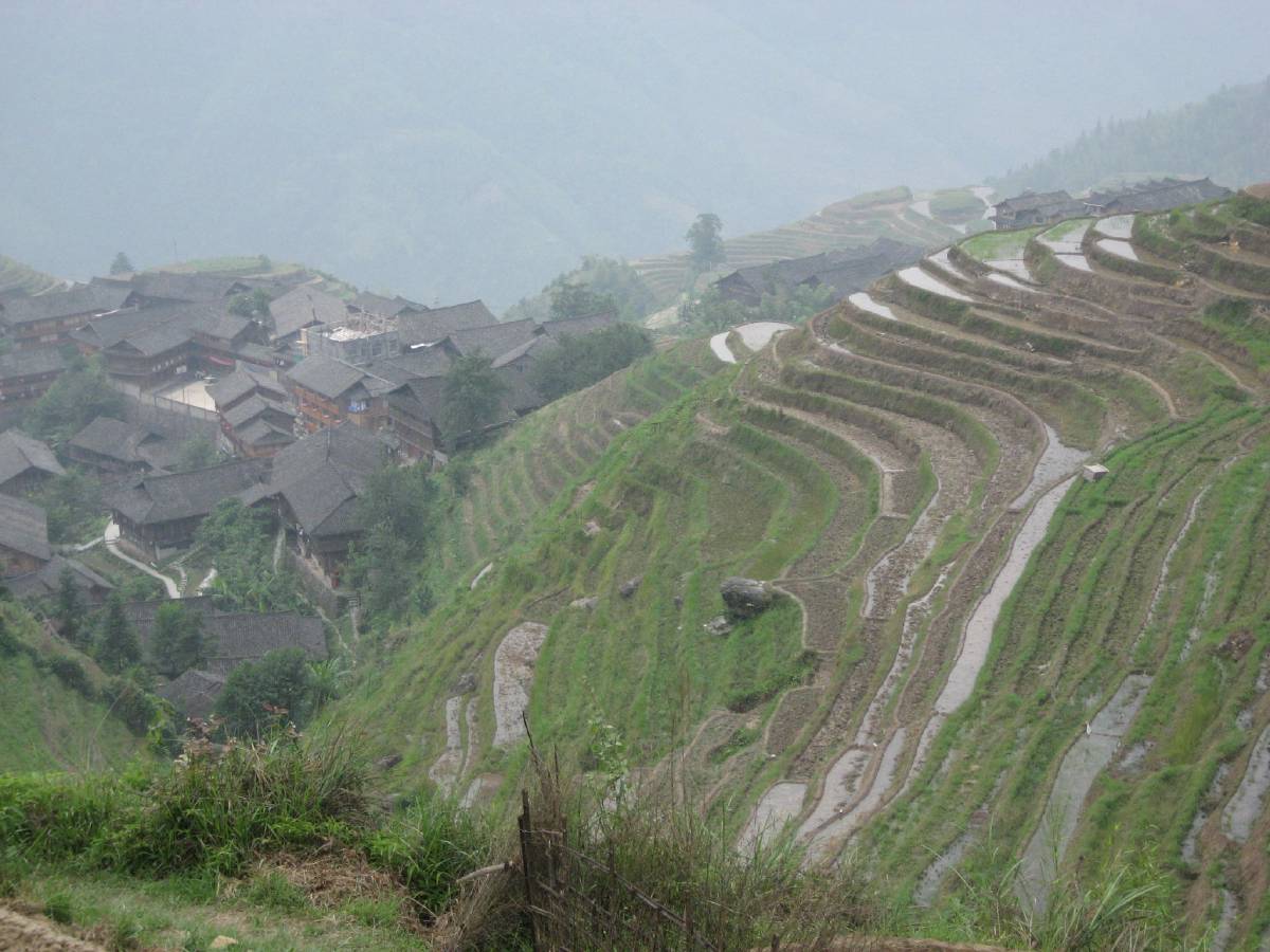 longji rice terraces longji rice terraces