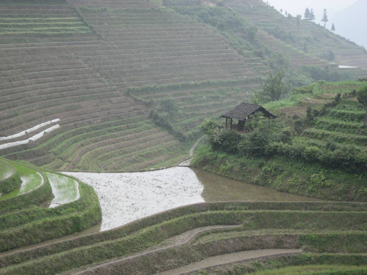 longji rice terraces longji rice terraces