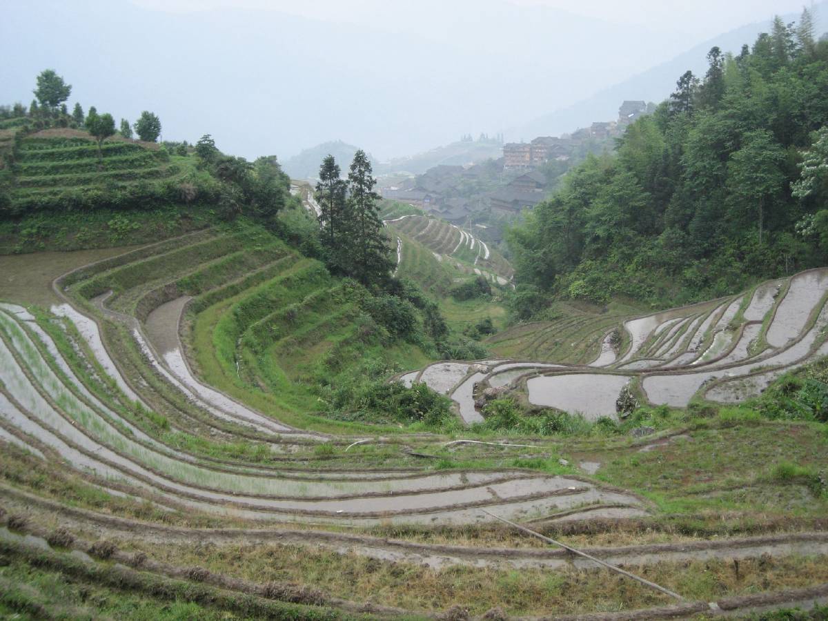 longji rice terraces longji rice terraces
