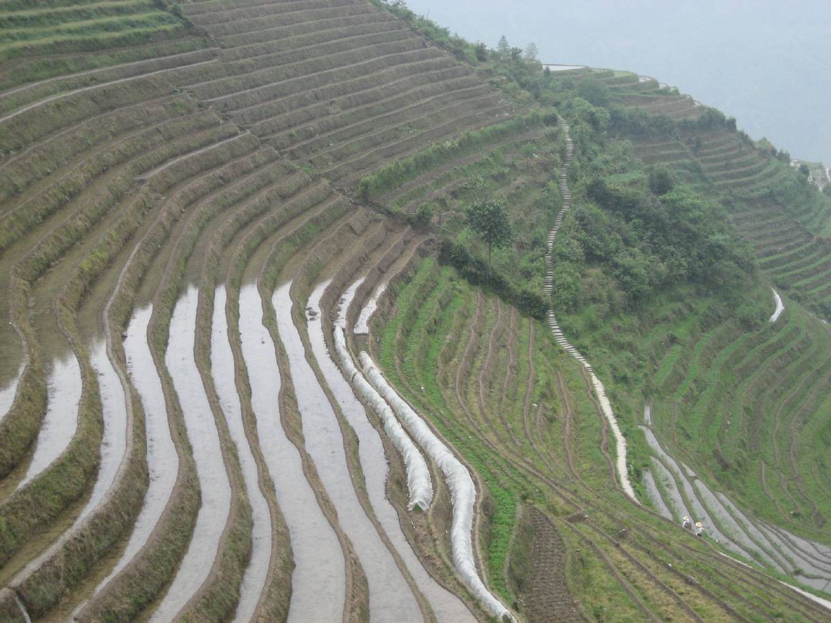 longji rice terraces longji rice terraces