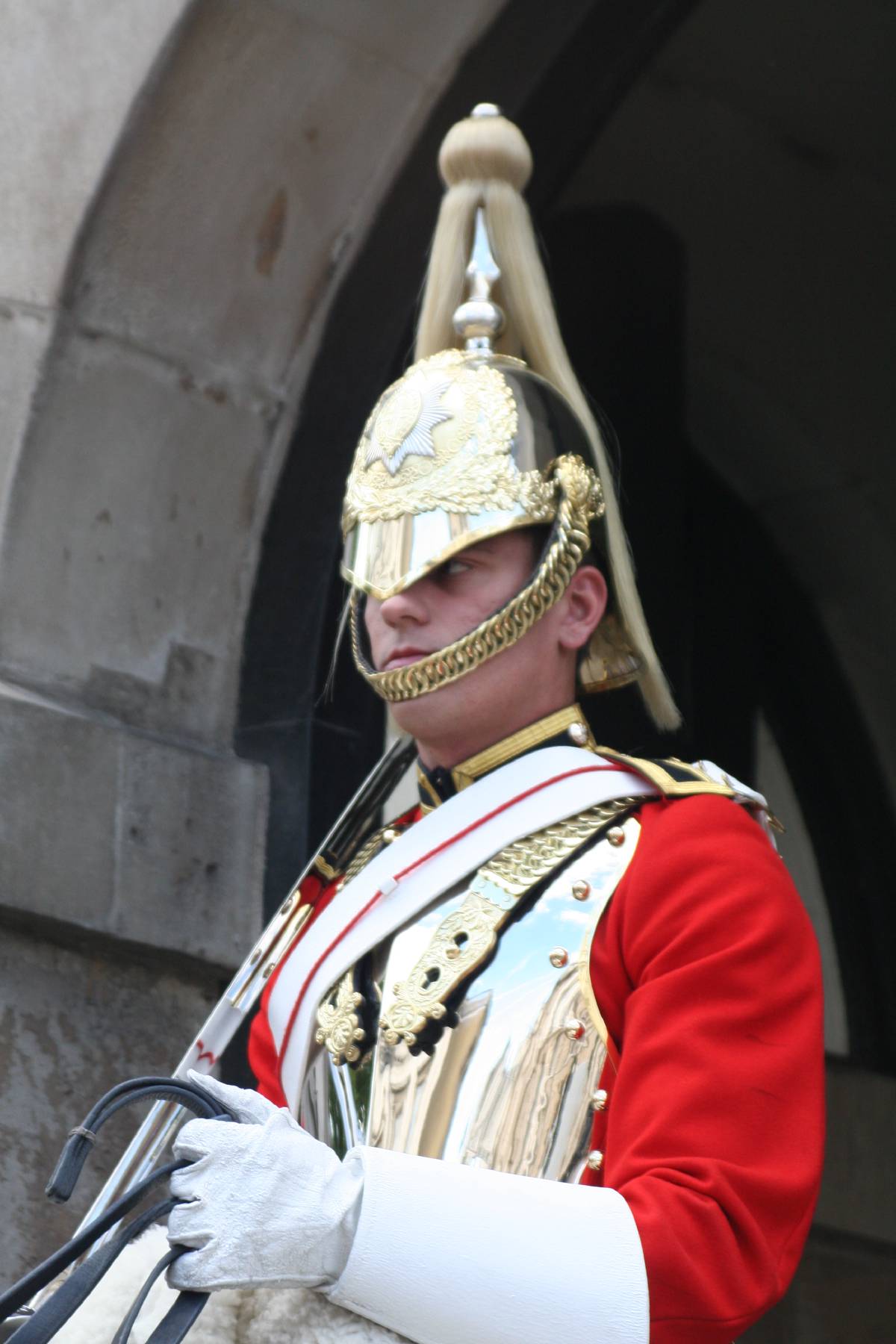horse guards parade horse guards parade