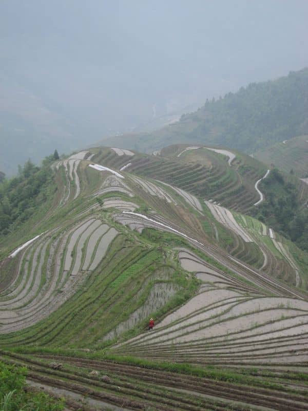 Dragons Backbone Rive Terraces