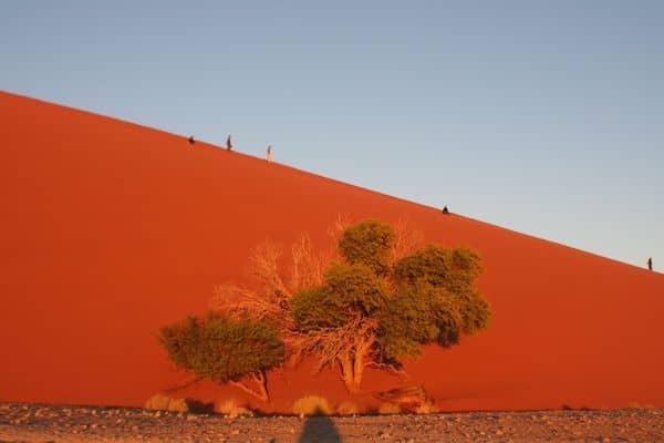 Big Dunes