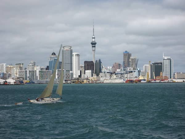 Lively Auckland