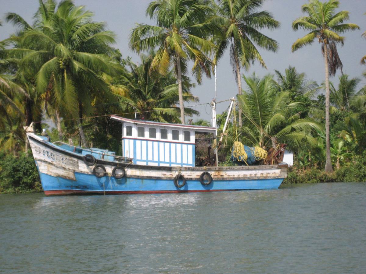 kerala backwaters kerala backwaters