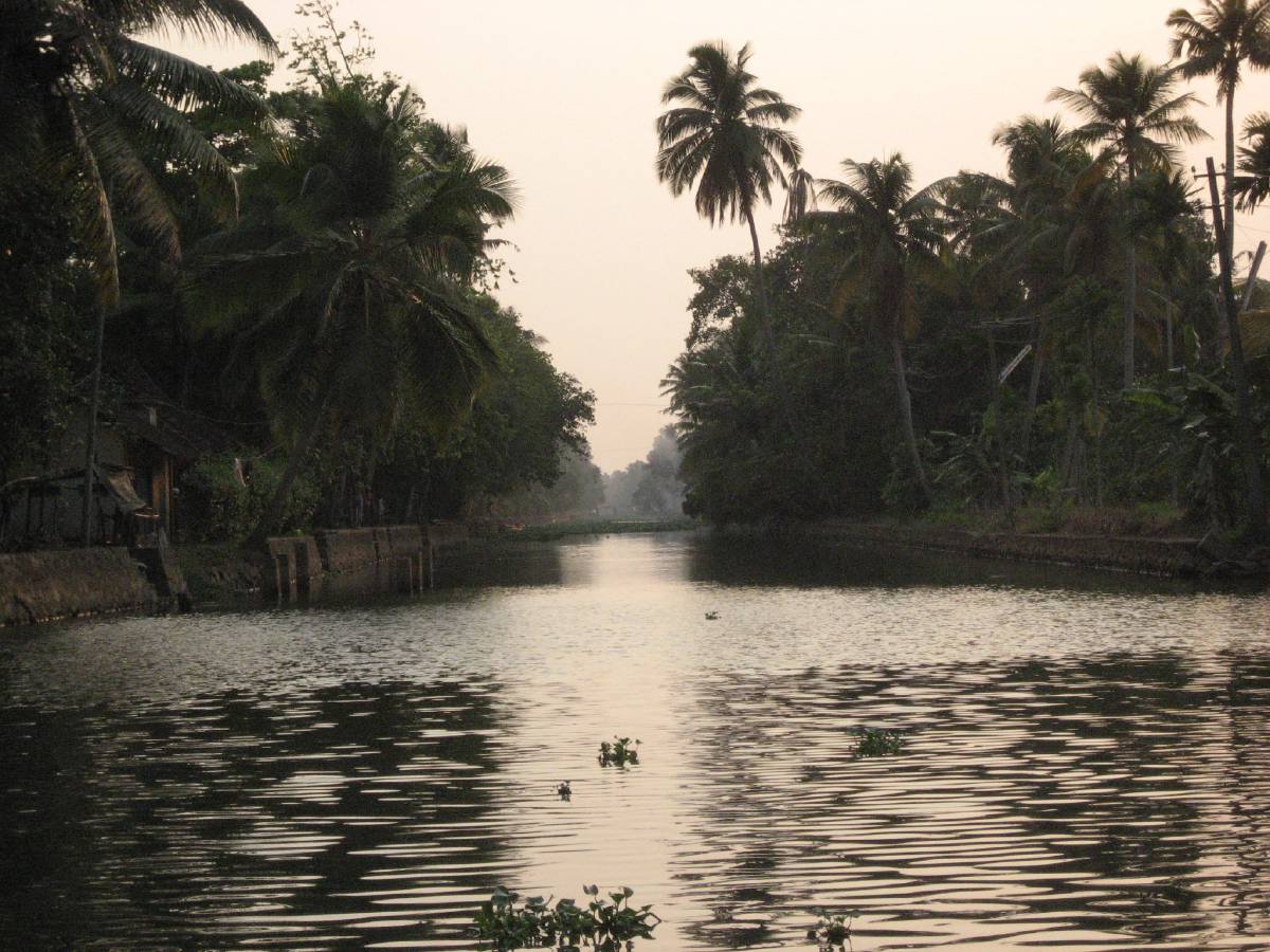 kerala backwaters kerala backwaters