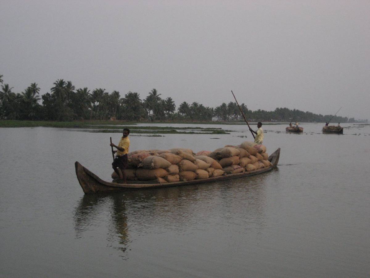 kerala backwaters kerala backwaters