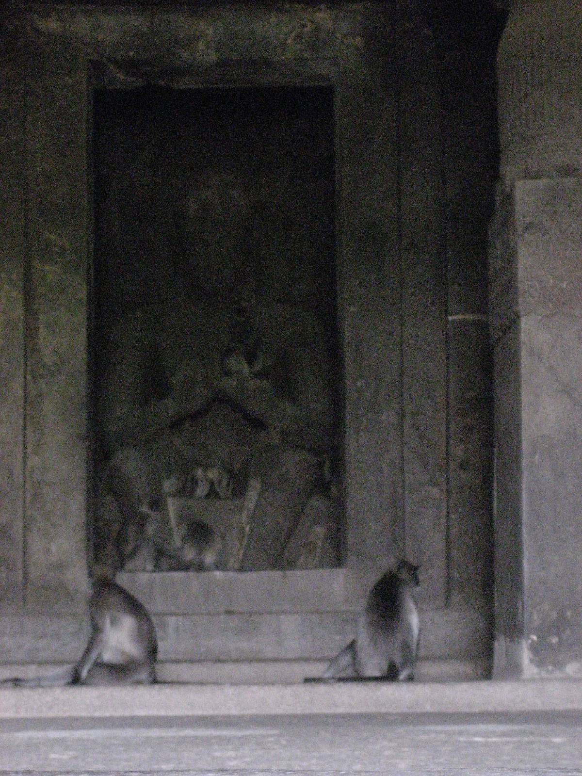 ellora caves ellora caves