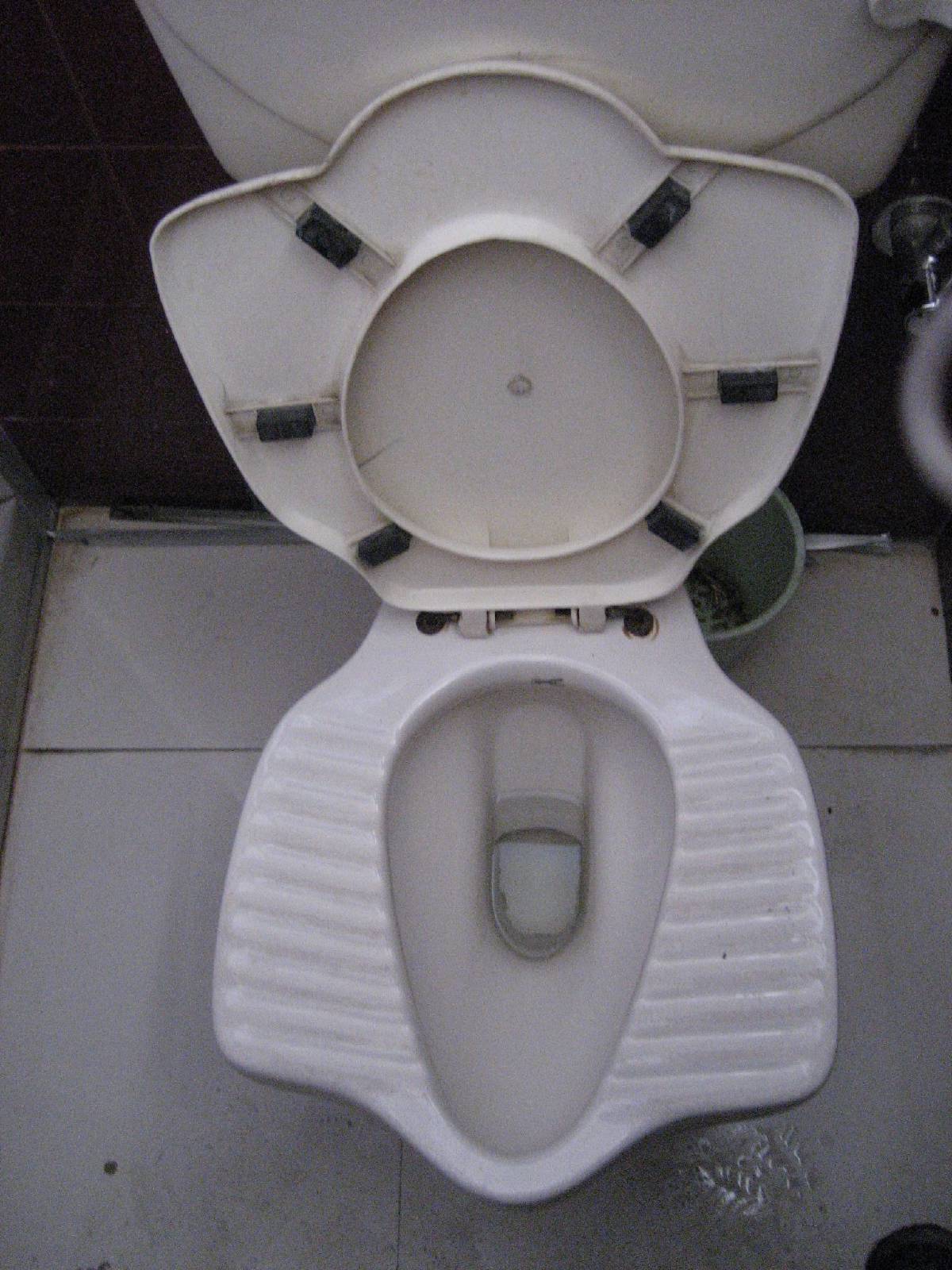 sit or squat your choice sit or squat your choice