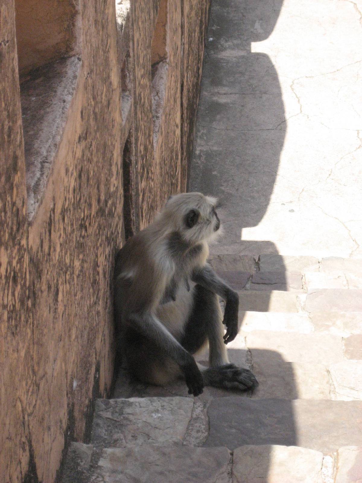 just chillin just chillin