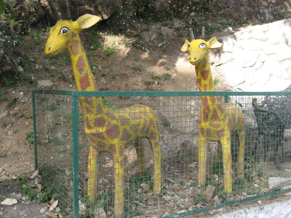 they almost look real