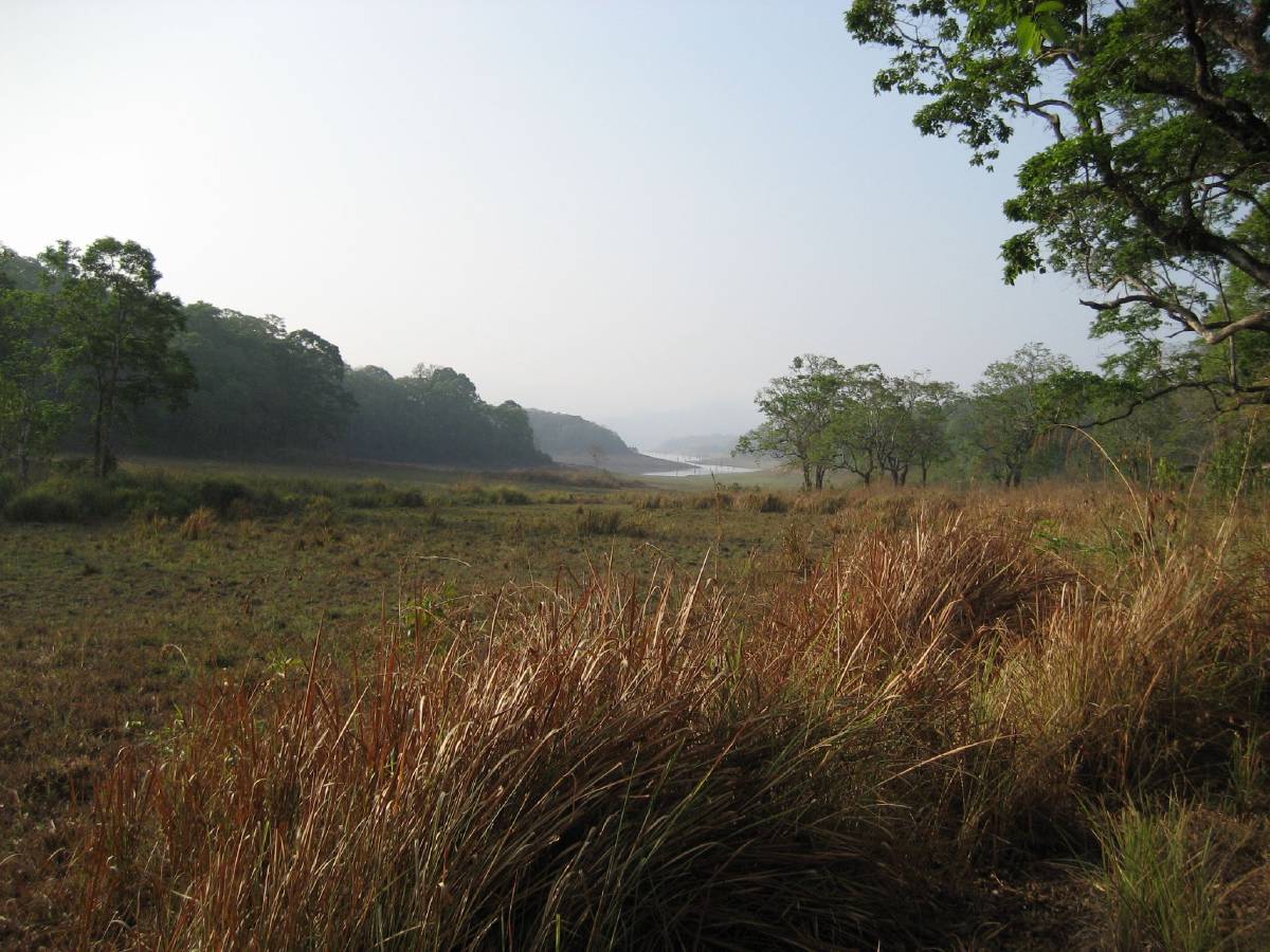 periyar tiger reserve periyar tiger reserve