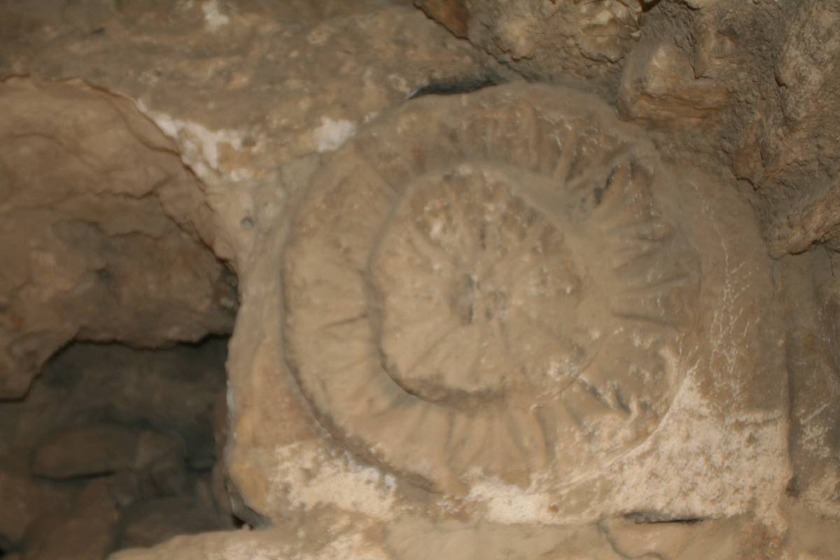 kerak castle kerak castle