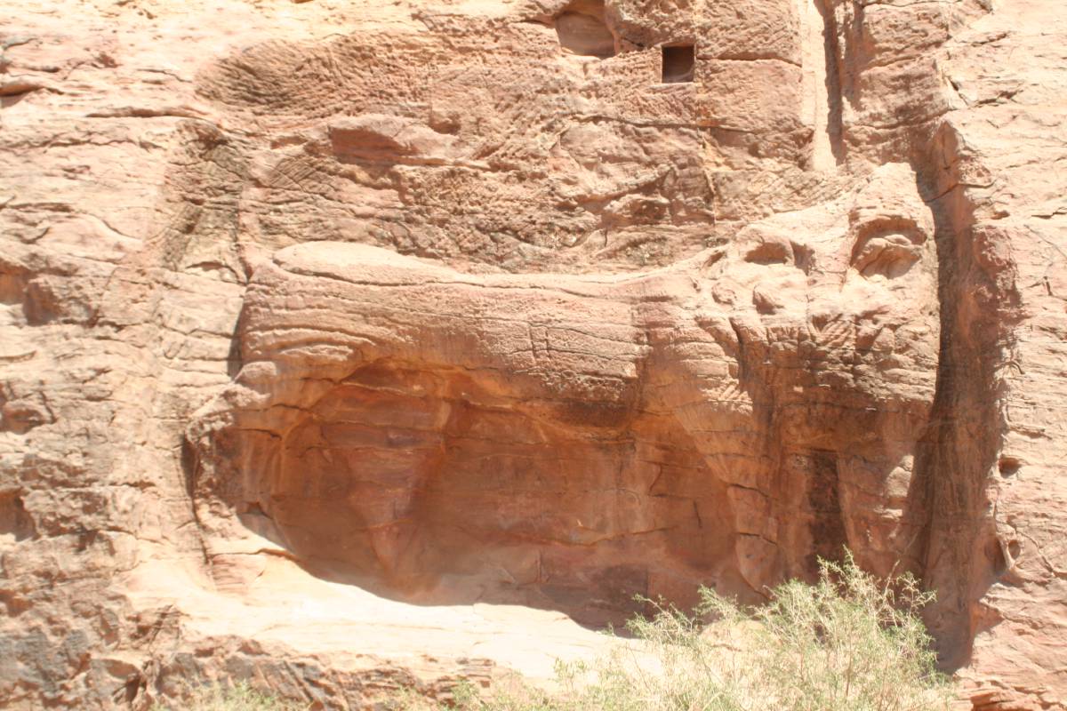 lion petra lion petra