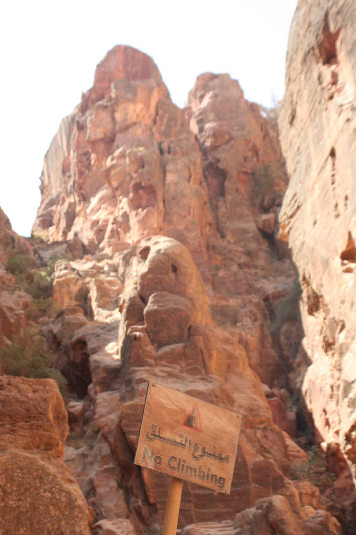 petra petra