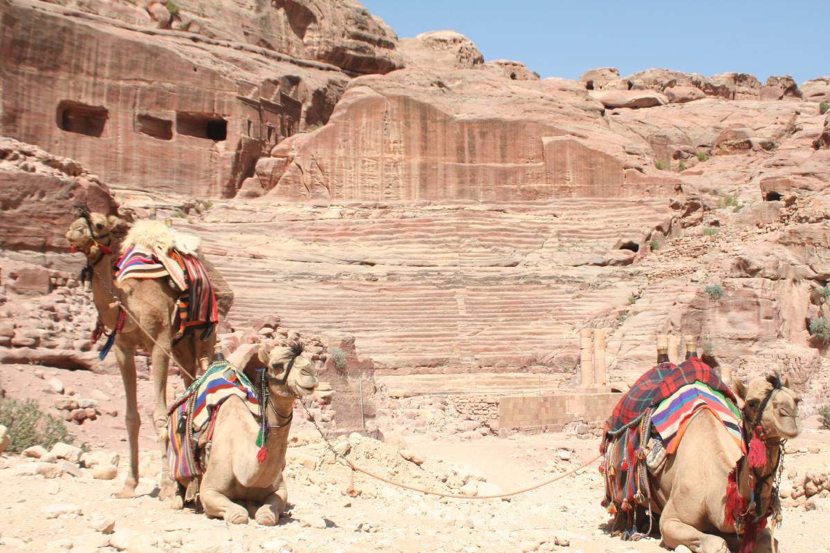 petra petra