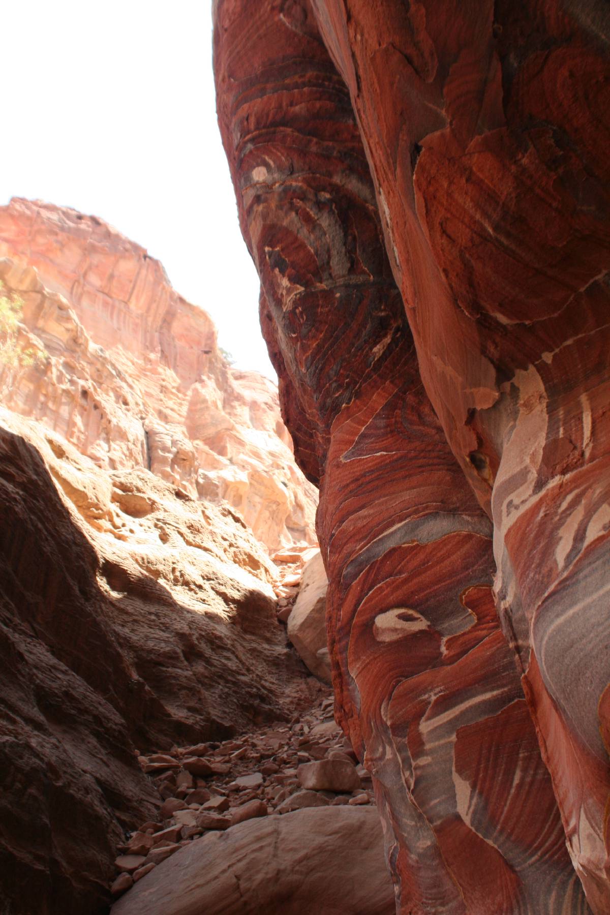 petra petra