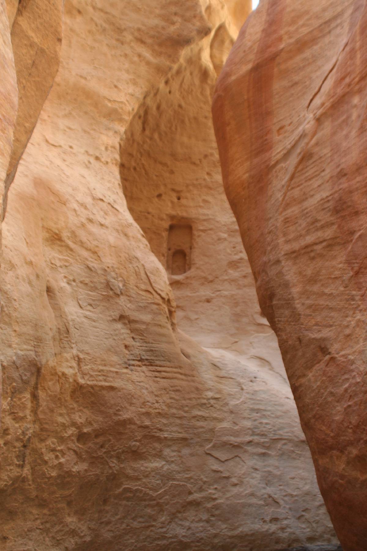 petra petra