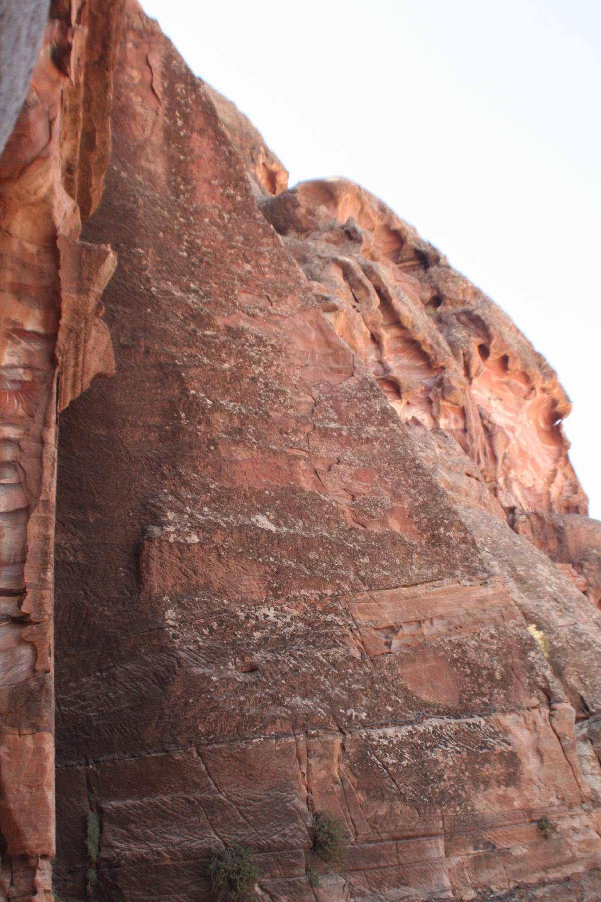 petra petra