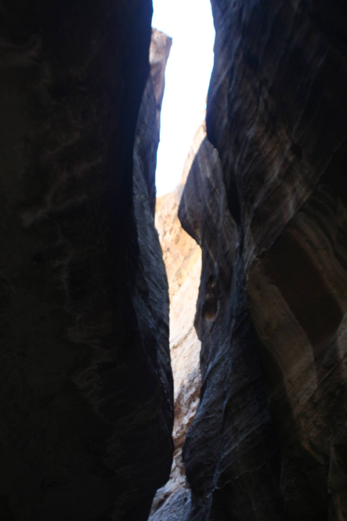 petra petra