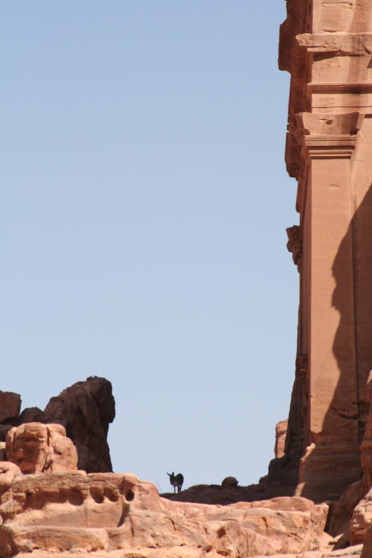 petra petra