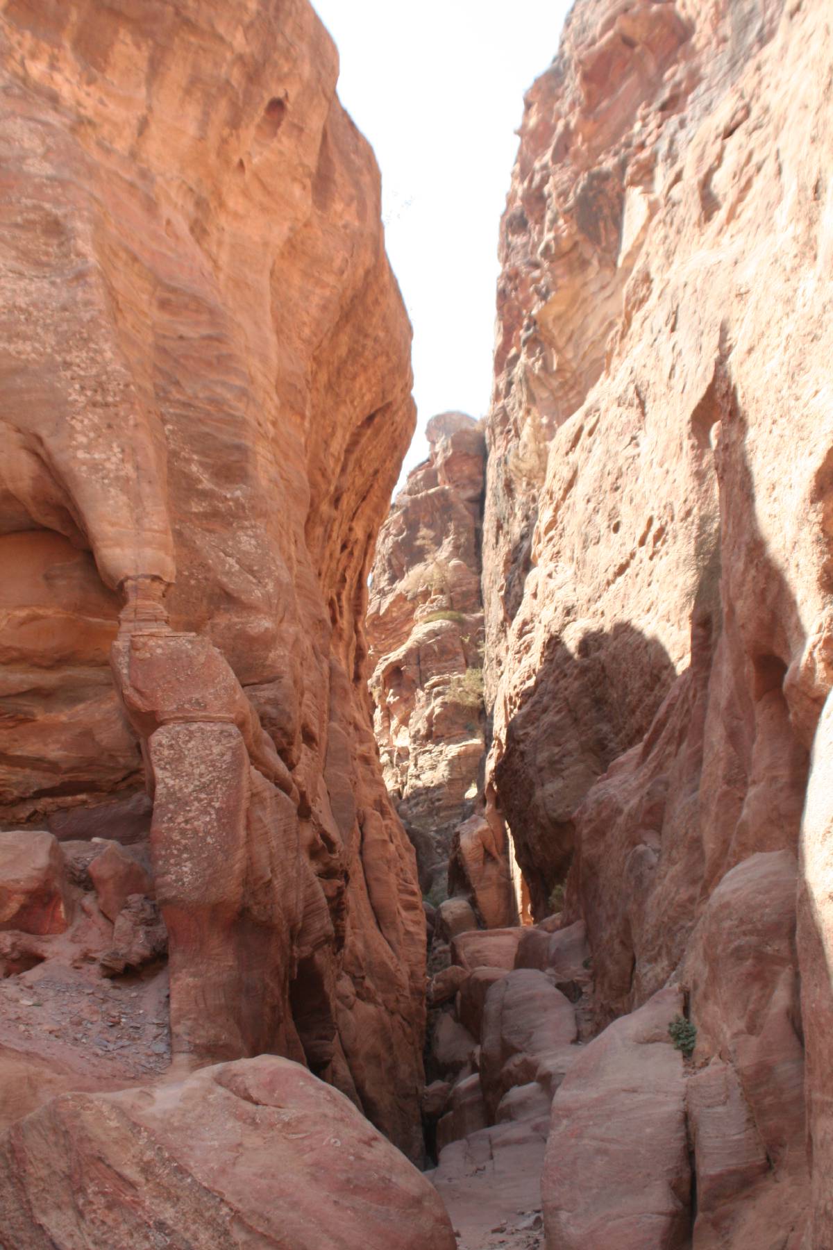 petra petra