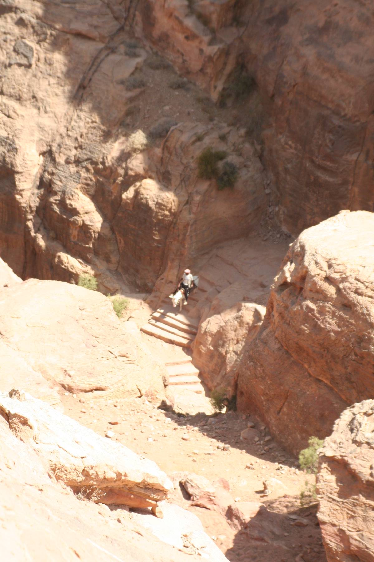 petra petra