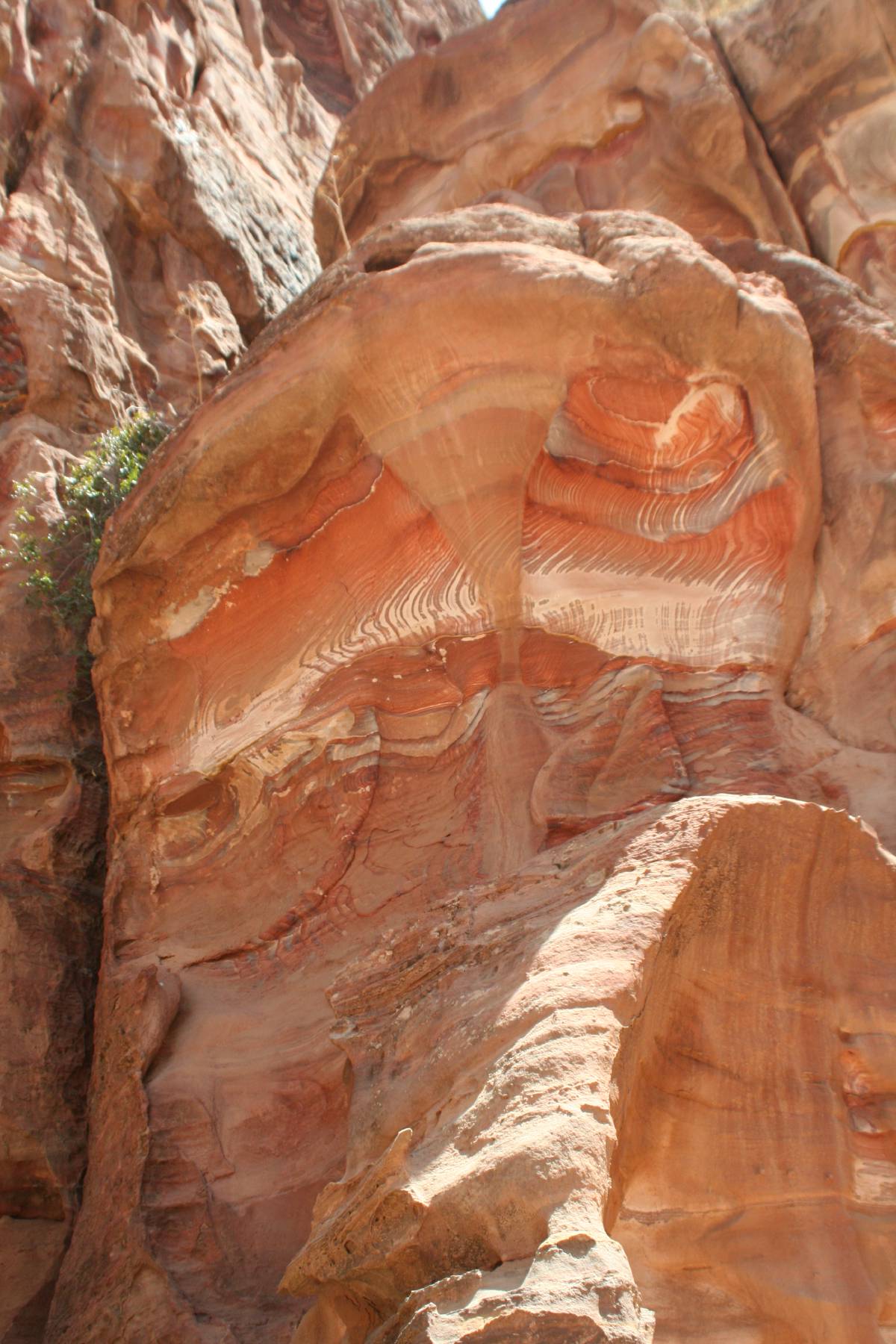 petra petra