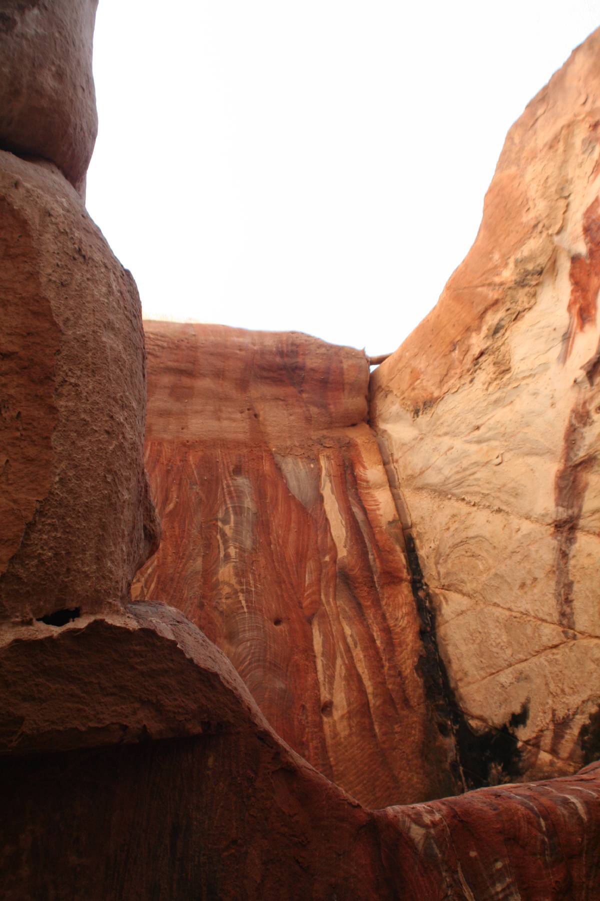 petra petra