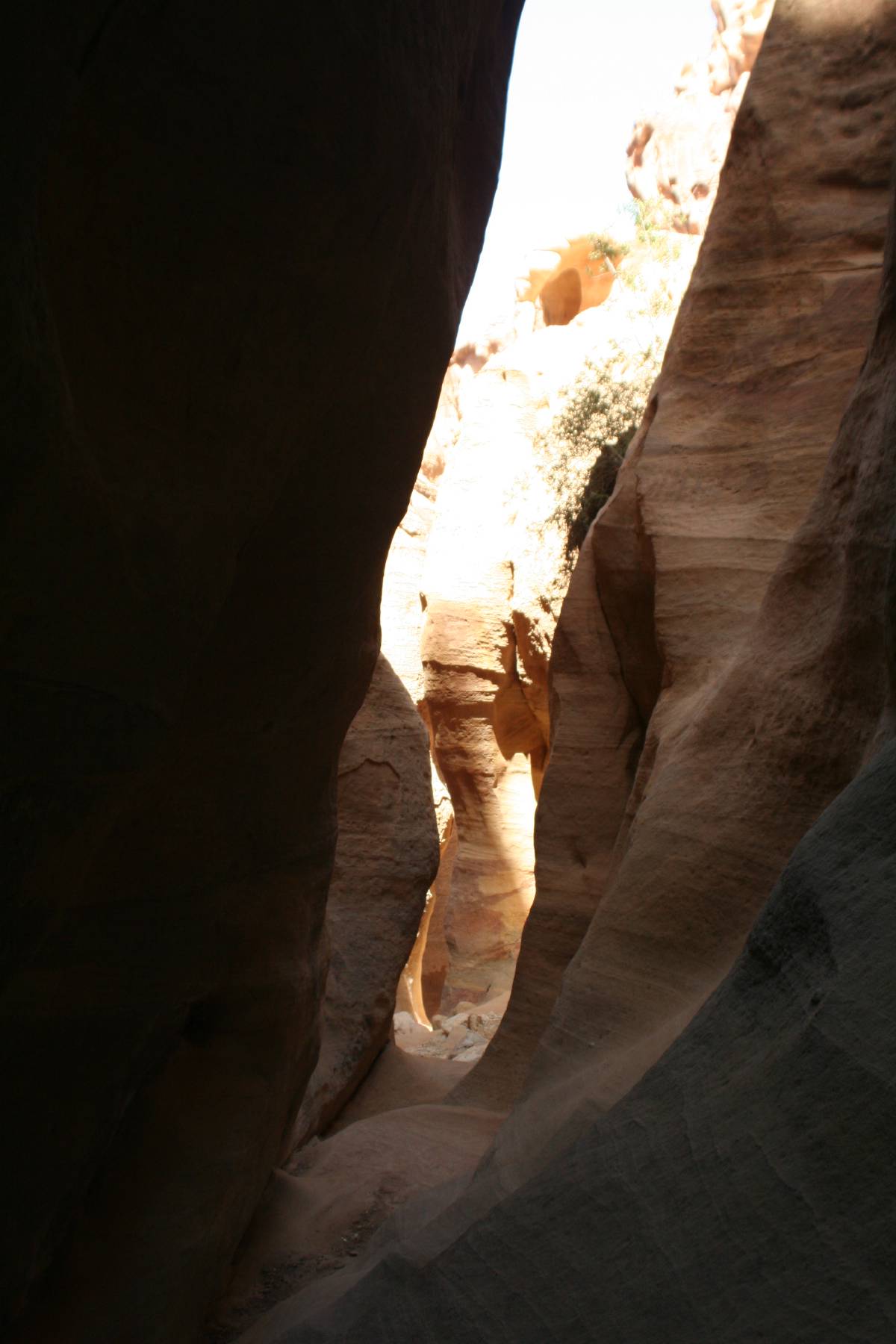 petra petra