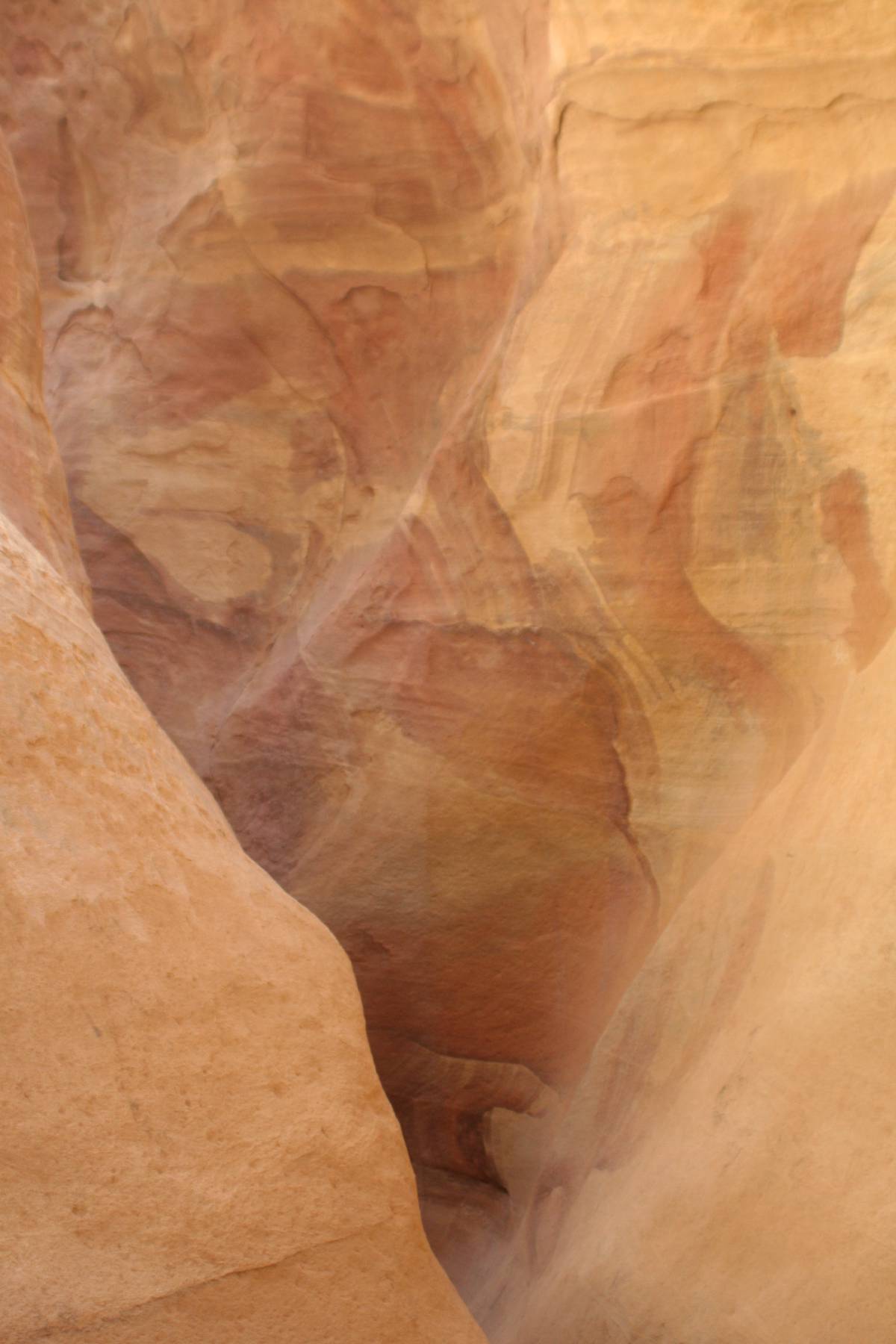 petra petra