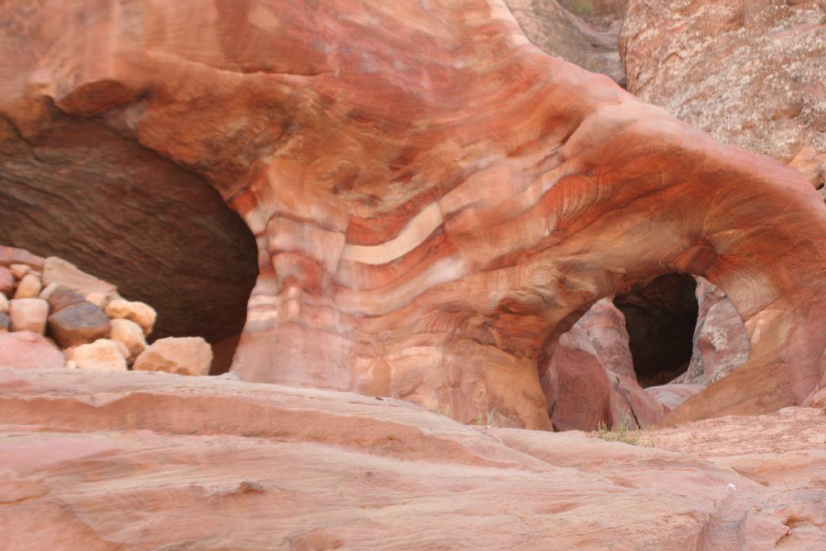 petra petra