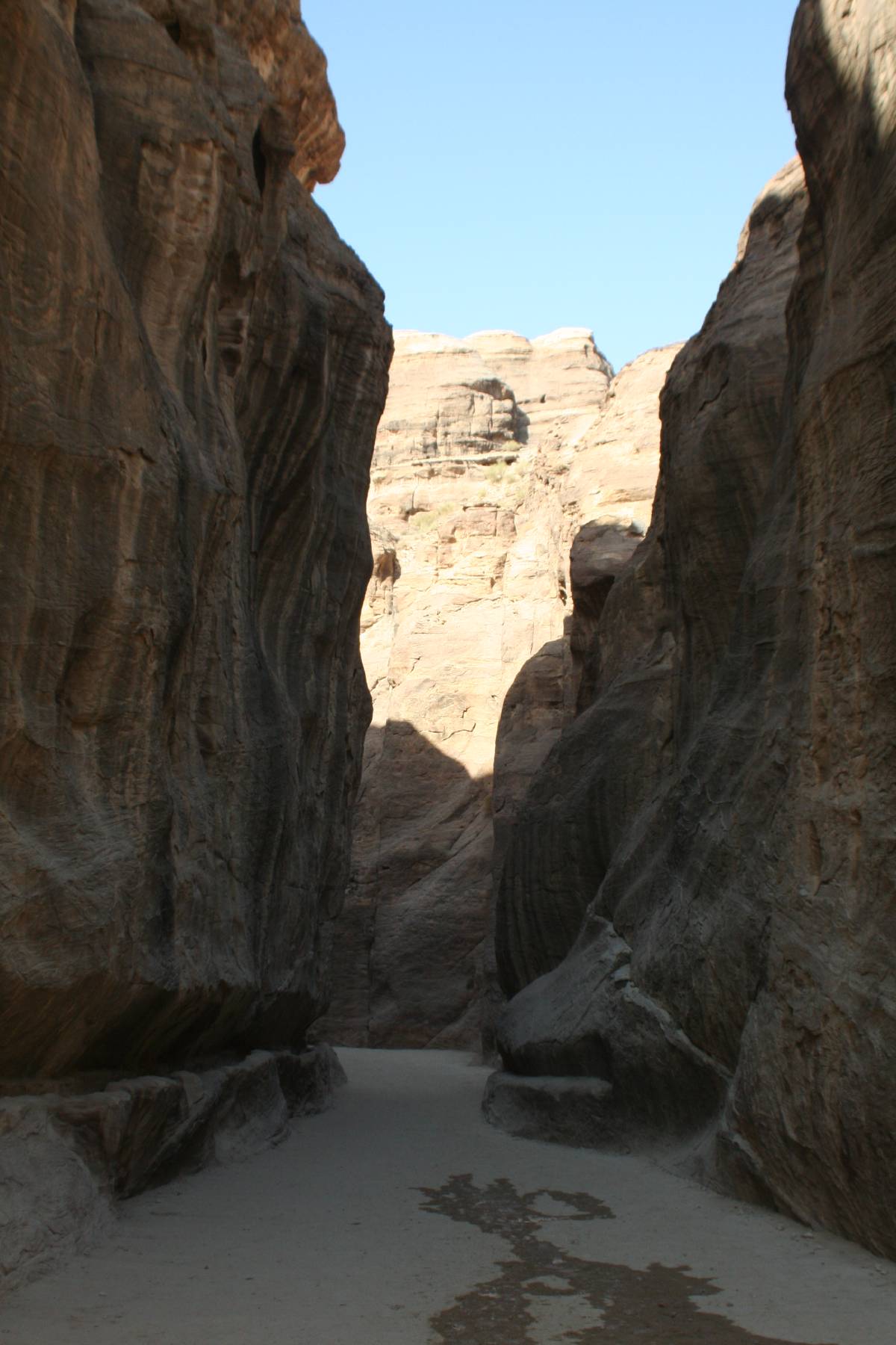the siq the siq