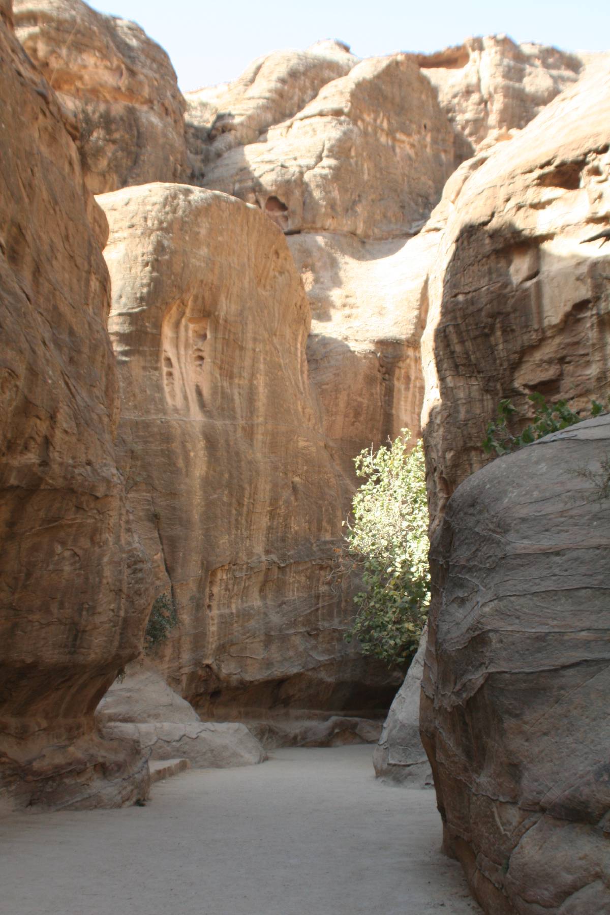 the siq the siq