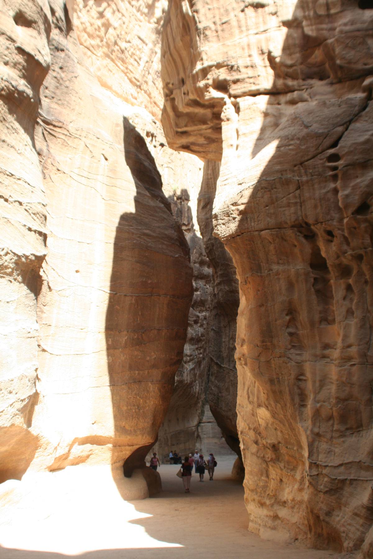the siq the siq